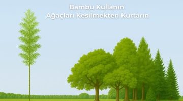 Bambu Kullanın, Ağaçları Kesilmekten Kurtarın