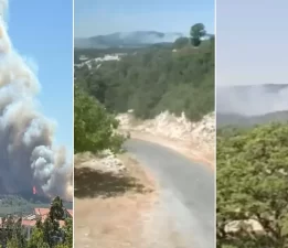 Bolu, Çanakkale ve Mersin’de orman yangını!
