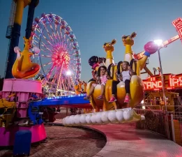 Tugay’dan ‘lunapark’ açıklaması: Ruhsatsız çalışıyordu!