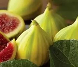 Buca Bardacığı görücüye çıkıyor