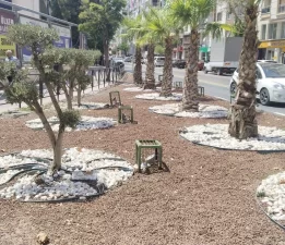 Kurakçıl peyzaj ile doğaya saygılı şehircilik