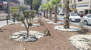 Kurakçıl peyzaj ile doğaya saygılı şehircilik