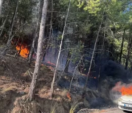 Otomobilden ormana sıçradı… Muğla’da yangın paniği!