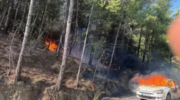 Otomobilden ormana sıçradı… Muğla’da yangın paniği!