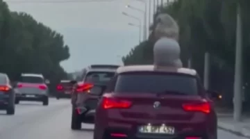 Dans etti, cezayı yedi!