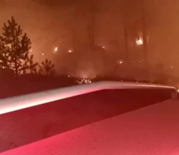Orman yangını: 1 hektar küle döndü!