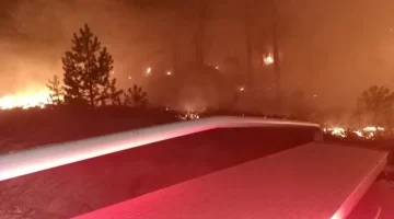 Orman yangını: 1 hektar küle döndü!