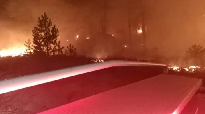 Orman yangını: 1 hektar küle döndü!