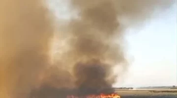 Bataklık alev alev!