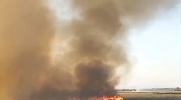 Bataklık alev alev!