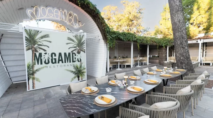 İzmir’de Mogambo zamanı