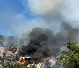 İzmir’deki orman yangını kontrol altında!