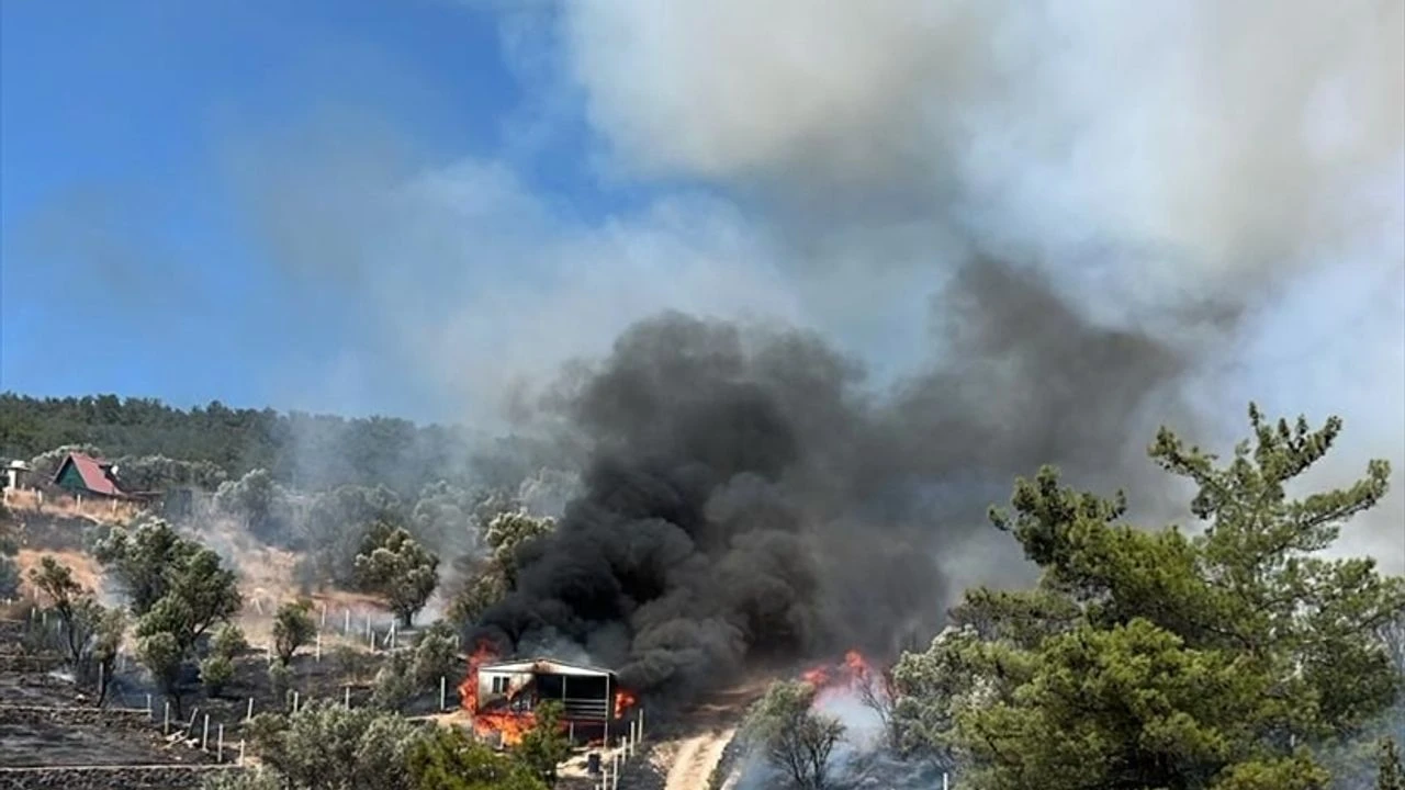 İzmir’deki orman yangını kontrol altında!