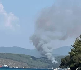 Bodrum’da orman yangını