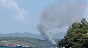 Bodrum’da orman yangını