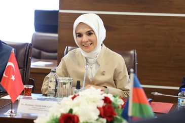 ”Türkiye’de Kadına Yönelik Şiddet Araştırması” tamamlandı