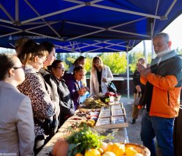 Tohumdan toprağa, topraktan sofraya