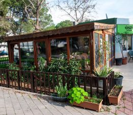 Karşıyaka’da yerel tohum bereketi