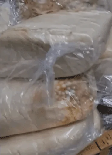 İzmir’de Pınar Süt Denetiminde Skandal, 1.907 Ton Ürüne El Konuldu