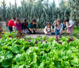 Karşıyaka ‘Yeşil Bayrak’ yolunda