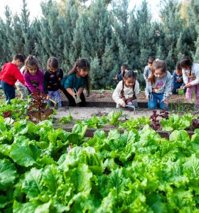 Karşıyaka ‘Yeşil Bayrak’ yolunda