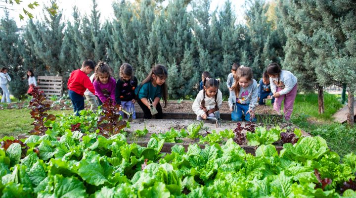 Karşıyaka ‘Yeşil Bayrak’ yolunda