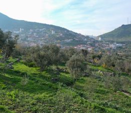 Menemen Belediyesi’nden Tarıma Can Suyu