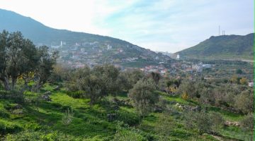 Menemen Belediyesi’nden Tarıma Can Suyu