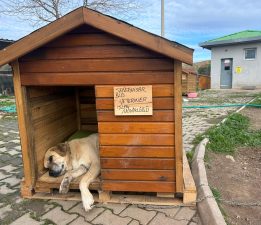 Seferihisar’da “Can Dostlar” için kulübe destek kampanyası