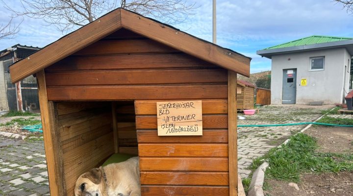 Seferihisar’da “Can Dostlar” için kulübe destek kampanyası