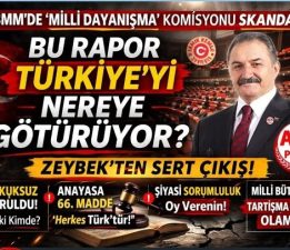 BU RAPOR TÜRKİYE’Yİ NEREYE GÖTÜRÜYOR?