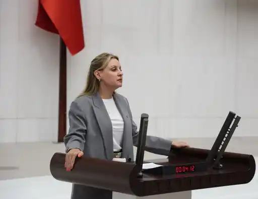 Ösen: Beceremiyorlarsa bıraksınlar biz yapalım