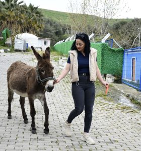 KUŞADASI EVCİL HAYVAN BAKIM VE REHABİLİTASYON MERKEZİNİN MASKOTU ‘FISTIK’