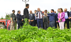 Dervişoğlu’nun “Nerede kriz yok ki” sorusuna yanıt “SARAYDA”