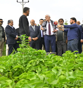Dervişoğlu’nun “Nerede kriz yok ki” sorusuna yanıt “SARAYDA”