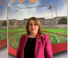 ENGELLİ BİREYLER İÇİN HİZMETE ERİŞİM KANUNLA GÜVENCE ALTINA ALINMALI