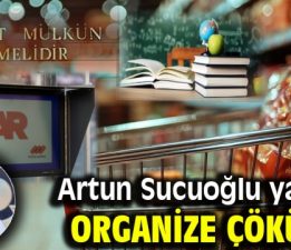 ORGANİZE ÇÖKÜŞ